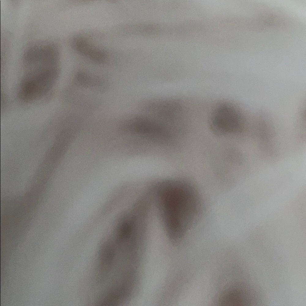 Meet your Posher, Jules